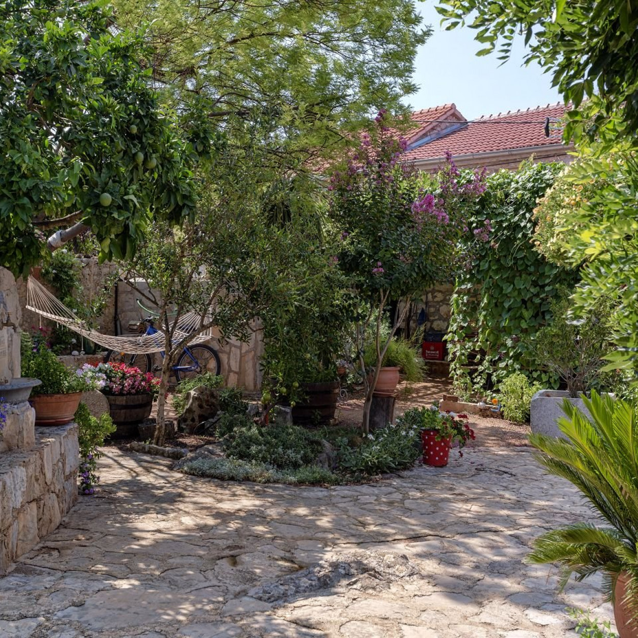 Villas Hvar - osnovna slika