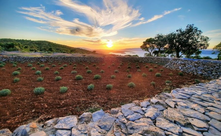 villas hvar nature view