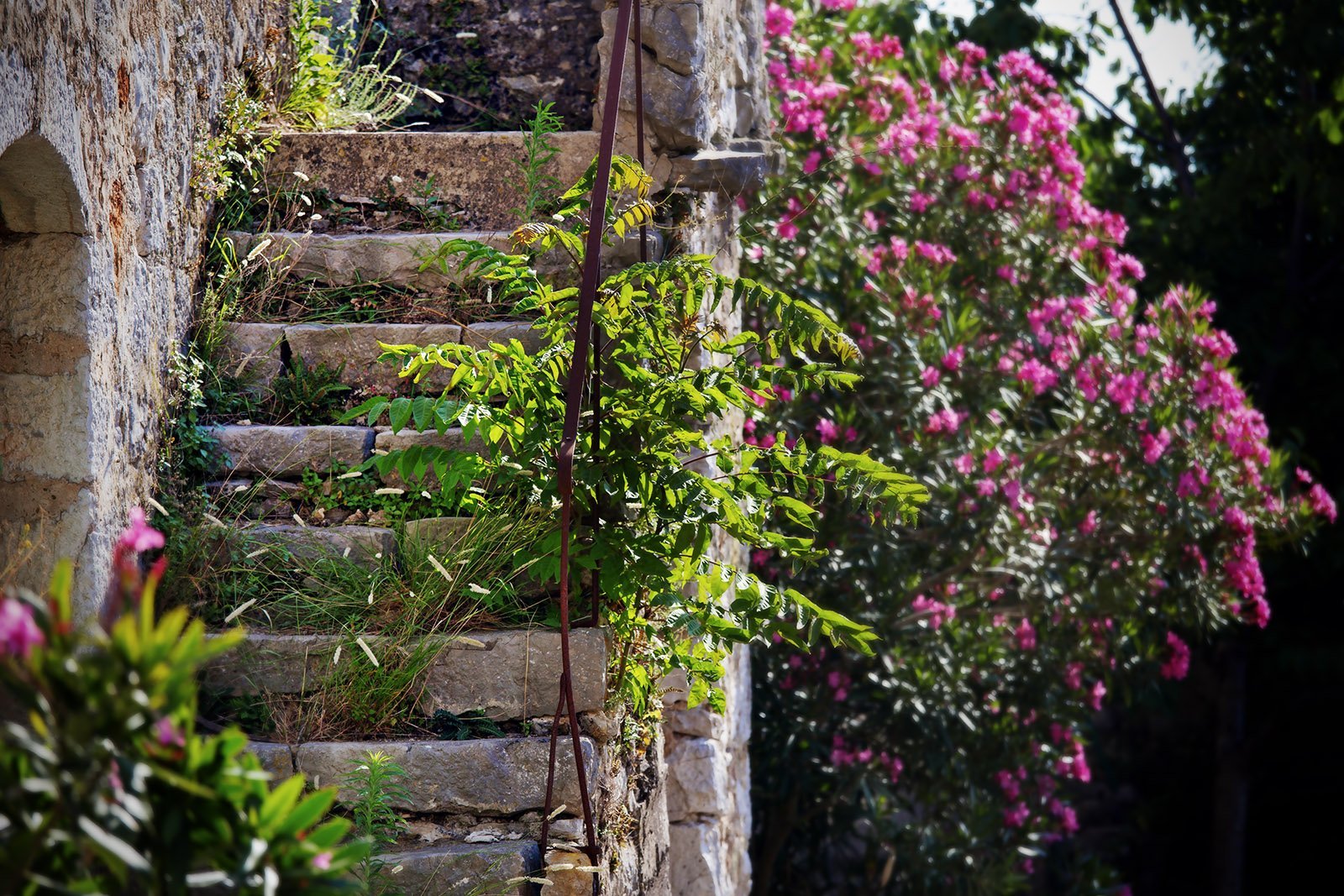 Springtime on Hvar