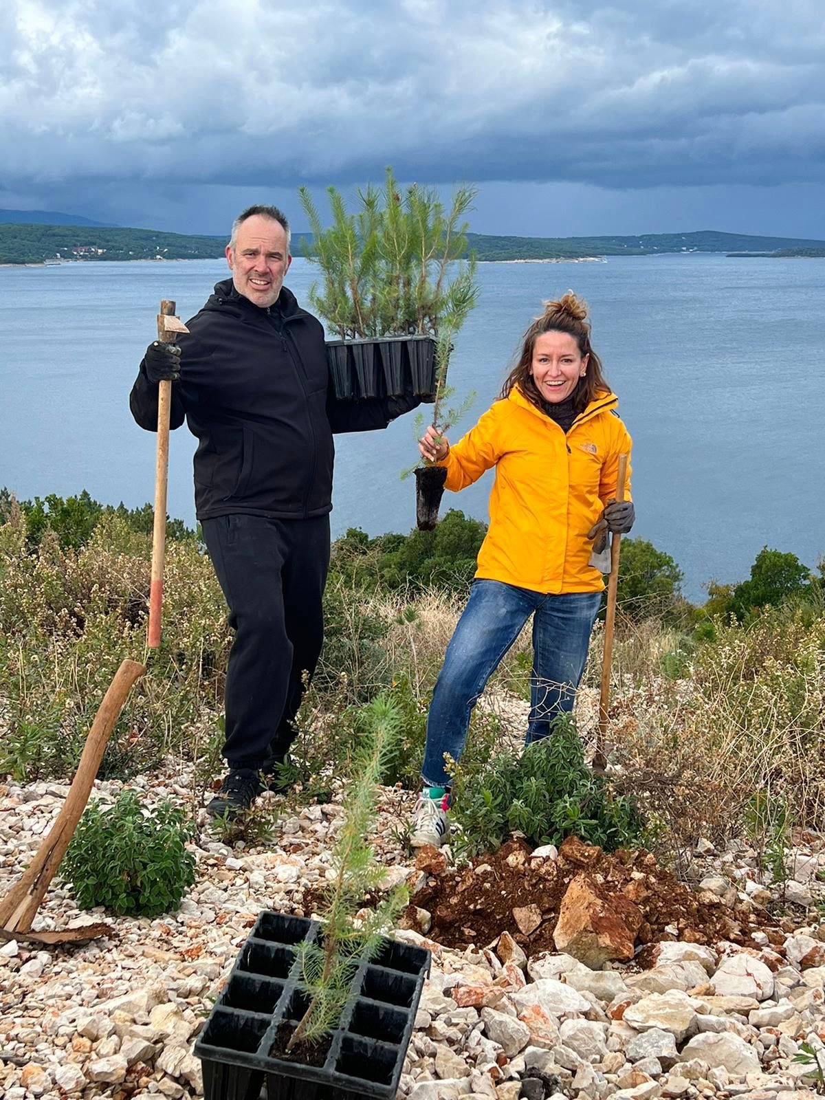 Villas Hvar planting trees